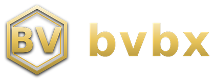 bvbx logo